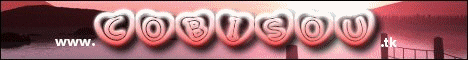 Cobisou